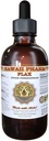 Flax Liquid Extract, Organic Flax (Linum usitatissimum) Tincture Addition 4 oz