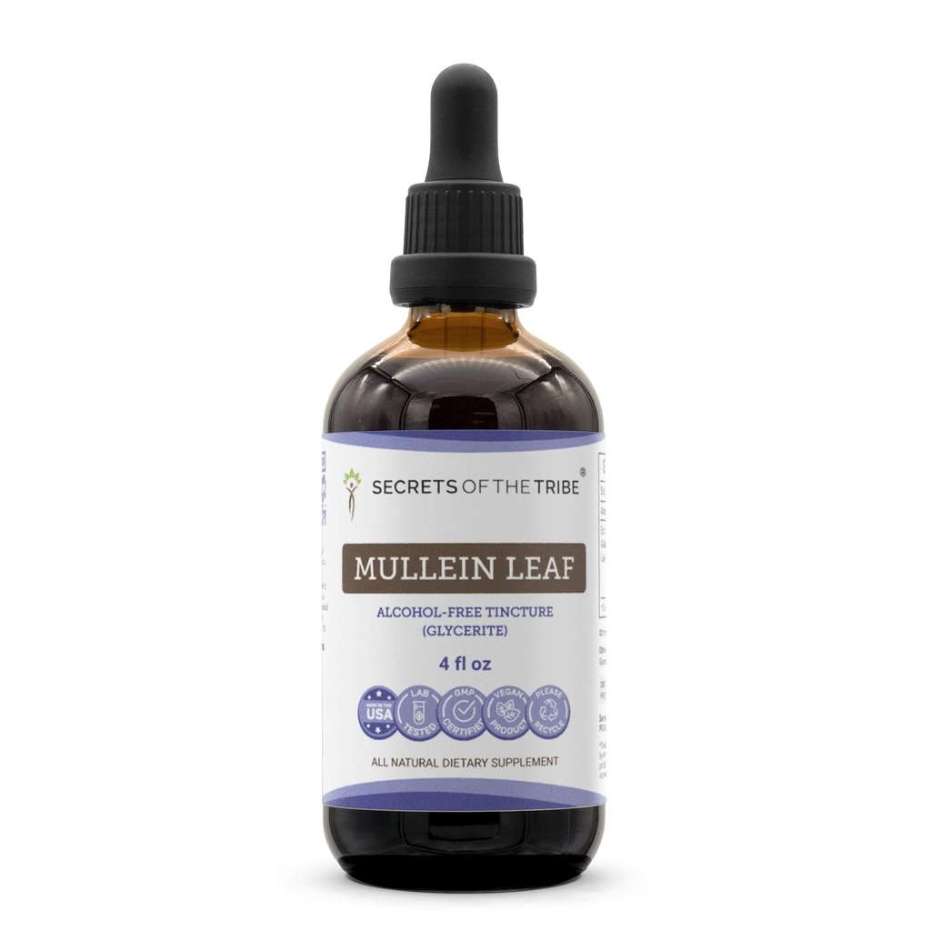 Secrets of the Tribe Mullein Leaf Alcohol-Free Liquid Extract, Mullein (Verbascum thapsus) Tincture Supplement (4 FL OZ)