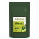 Banyan Botanicals Avipattikar Powder – Organic Digestion Supplement with Ginger, Cardamom & Vidanga ­­– Supports Healthy Stomach Acid Balance* – ½ lb. – Non-GMO Sustainably Sourced Vegan