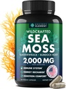 Sea Moss Capsules - Irish Sea Moss Advanced with Burdock Root, Bladderwrack & Muira Puama for Immunity, Gut, & Energy - Superfood Sea Moss Suplemen / Raw Sea Moss Powder - 120 Irlandia Seamoss Pills