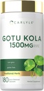 Carlyle Gotu Kola Supplement | 180 Capsules | Traditional Herbal Extract | Non-GMO & Gluten Free Formula