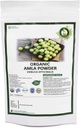 R V Essential Organic Amla Powder 100gm/ 3.53oz/ 0.22lb- Emblica Officinalis Amla Fruit Powder for Hair USDA Organic Certified Ayurvedic Herbal Supplement in Resealable and Reusable Zip Lock Pouch