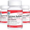 Quality Choice Iron 65 mg (325 mg Ferrous Sulfate) High Potency Iron Support Supplement Tablets in 100 Count Bottles (3 Pack)