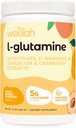 Wellah L-Glutamine персик Манго (50 сервінги) - 5g L-Glutamine для сервірування, змащений Stevia