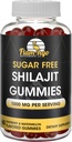 Suikervrij Shilajit Gummies (1000mg Serving)- Natuurlijke Himalaya Biologische Fulvic Acid Shilajit Supplement voor mannen en vrouwen -60 Gummy Kauwen