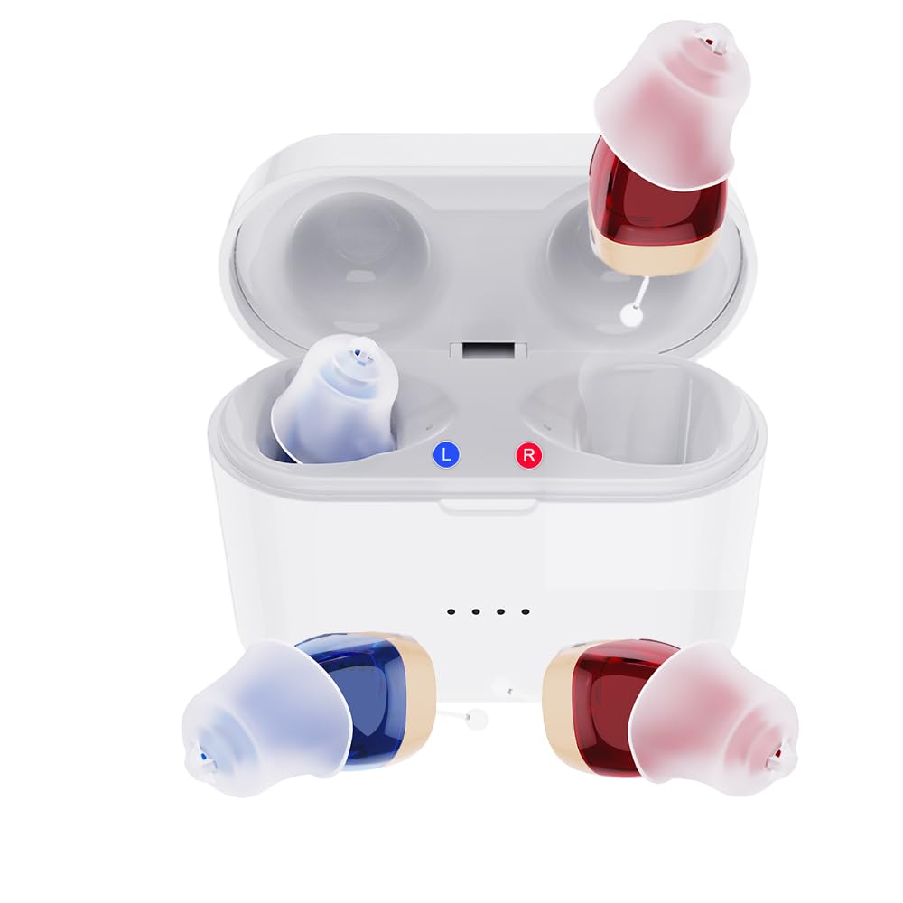 Hearing Aids for Seniors, Rechargeable Hearing Aid 10 Channel Mini Hearing Device with Noise Cancelling Hearing Amplifiers for Adults with Charging Case