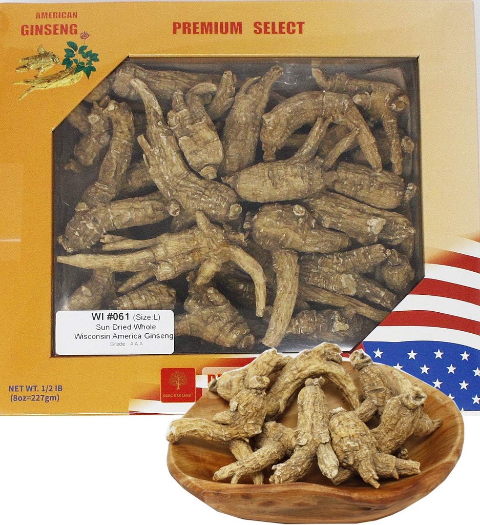 Wyselekcjonowane American Wisconsin Farmed Ginseng Root Medium