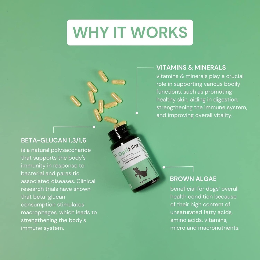 OptiMins Dog Vitamin & Mineral капсули - Основни хранителни вещества за здравето - Жизненост и имунна поддръжка - Мултивитамини, Аминокиселини и минерали за кожата, храносмилането и здравето на сърцето