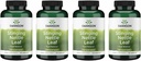 Swanson Stingling Nettle Leaf (Urtica Dioica) - Herbal Supplement Promoting Urinary Tract & Respiratory Health Support - May Support Health Fluid Balance - (120 Capsules) (4 Pack)