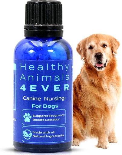 [BRSROHA6CF6WCFYV] HA4E - Canine Pregnancy & Nursing Support - Boosts Lactation & Helps Prevent Pregnancy & Nursing Issues - Safe, Fast-Acting, Natural Care Formula - 300 Tablets