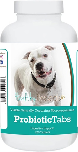 [BRSRMZAKCUIA4DLF] Healthy Breeds Pit Bull Probiotic Tabs 120 Count