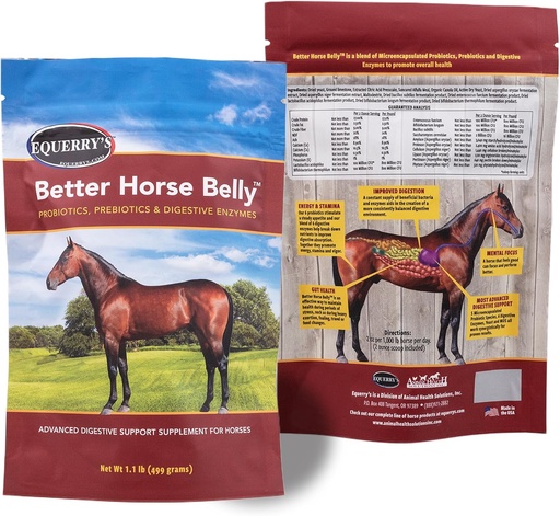 [BRSRAGQQCN4BEH3H] EQUERRY'S Better Horse Belly - Horse Supplement with Gut Support | Horse Probiotics with Prebiotics and Digestive Enzymes | for Colic, Digestive Upset, 1.1LB