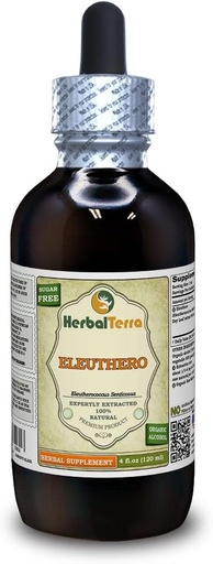 [BRSWGHYRAF6QM2Q3] Eleuthero (Eleutherococcus Senticosus) Tincture, Dried Leaves Liquid Extract (Brand Name: HerbalTerra, Proudly Made in USA) 4 fl.oz (120 ml)