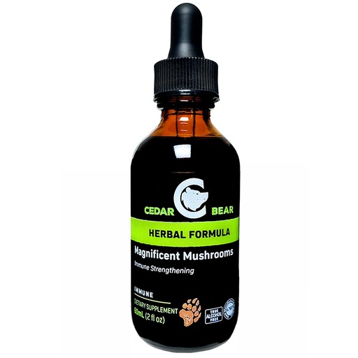 [BRSWGZT6AB7WKF3Z] Cedar Bear Magnificent Mushrooms a Liquid Herbal Supplement That Builds The Immune System, Protects, Strengthens and Balances Overall Health 2 Fl Oz