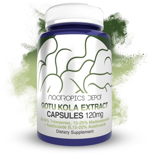 [BRSWGGTRBUBGYAA4] Nootropics Depot Gotu Kola Extract Capsules | 120mg | 90 Count | Acid Resistant | Centella asiatica | 35-45% Triterpenes | Supports Healthy Stress Levels | Promotes Memory Enhancement