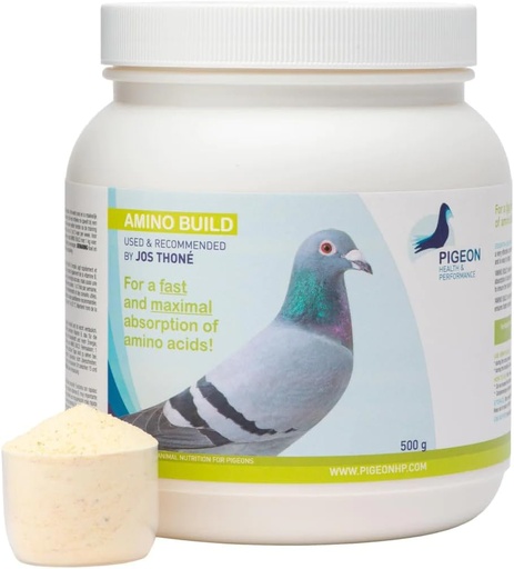 [BRSROBAOCEFGMCDJ] Generic PHP Amino Build 500g - Muscle-Building Amino Acids Pigeon Health & Performance