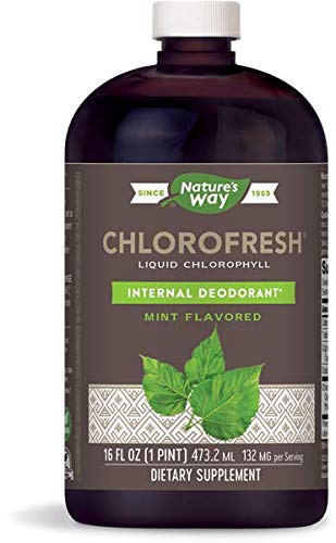 [BRSWIGDYOICBAC32] Nature's Way Chlorofresh Liquid Chlorophyll Internal Deodorant 16 Fluid Ounces, Mint Flavor, Pack of 2
