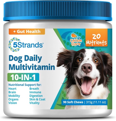 [BRSRAZQPAEGWEYDH] 5Strands Hunde Multivitamin Chews, 10-i-1, Vitaminer og postbiotika, Alle aldre og avler - Digestion, Hjerne, Organer, Hjerte, Mobilitet, Visjon, Hud og Coat, Immun Helse - Hundetilskudd (Chicken, 90ct)
