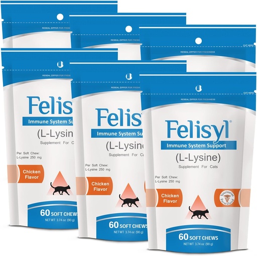 [BRSWIZYHOMGQOAL6] L-Lysine Soft Chews for Cats (60 Soft Chews) – Supports Immune, Respiratory, and Eye Health. Eases Sneezing, Runny Nose, and Watery Eyes. Salmon Flavor - (6 Pack)