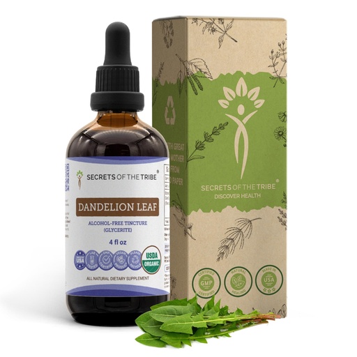 [BRSWGZTYCN5AY333] Secrets of the Tribe Dandelion Leaf USDA Organic | Alcohol-Free Extract, High-Potency Herbal Drops | Made from 100% Certified Organic Taraxacum Officinale Dried Leaf 4 fl oz