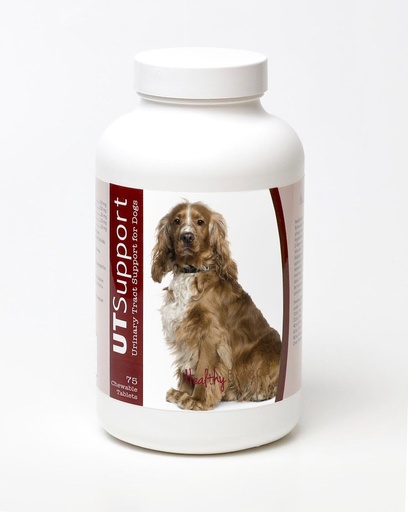 [BRSWGED7AV6RQ3TJ] Sağlıklı Breeds İngilizce Cocker Spaniel Cranberry Chewables - UT Support - Köpeğinizin Bladder'deki Enfeksiyonu Etkiliyor - 75 Kont