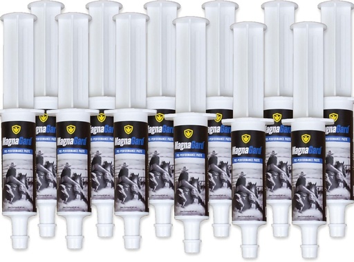 [BRSRMH3QPMBQYC3A] Pre-Performance Calming Paste for Horses - All Natural Gastric Support by Eagle Equine (12 Pack)