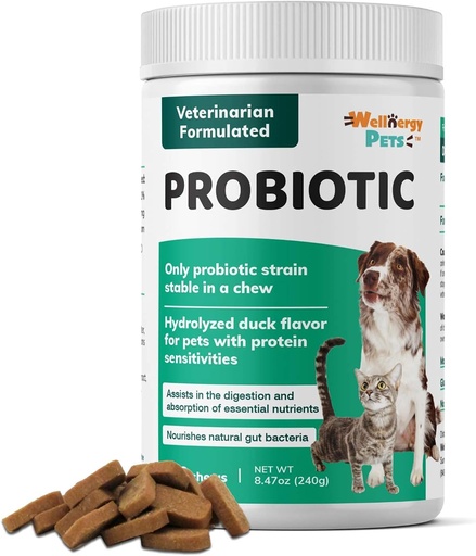 [BRSWY23YOB5WKAI4] Wellnergy Daily Probiotic & Prebiotics Soft Chew for Dogs & Cats - Digestive Support for Diarrhea, Constipation, Upset Stomach, Indigestion & Gas - Helps Digestion, Allergy Skin & Immune Health 160ct