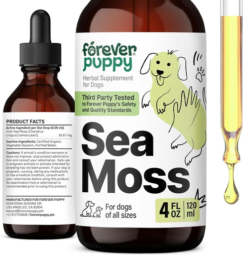 [BRSRAYAEOJ6AEEL4] Forever Puppy Irish Sea Moss Drops for Dogs - Thyroid & Energy Support for All Breeds & Sizes - Dog Food Supplements with Liquid Seamoss Extract - Vitamins and Supplements - Sugar & Alcohol-Free -4 oz