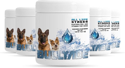 [BRSW2ZTQC5YREA3G] Natural Dog Supplement with 18 Vitamins, Minerals & Electrolytes. Mixes with Water or Food. (Chicken 5 Pack)