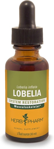 [BRSWIYTYO4HB4FLC] Herb Pharm Certified Organic Lobelia Liquid Extract für Musculoskeletal System Support - 1 Unze (DLOBEL01)