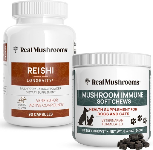 [BRSRMYDYBUFRQ3DZ] Real Mushrooms Reishi Capsules for Humans (90ct) & Sieni Immuuni Lemmikki Chews (60ct) - Bundle for Longevity, Rentoutuminen & Immuniteetti - Ashwagandha, Astragalus & enemmän - Vegan, ei-GMO, Gluteenittomat