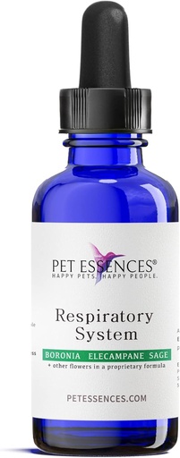 [BRSWIZTRDF7RWG3O] Respiratory System for Dogs, Cats and Horses