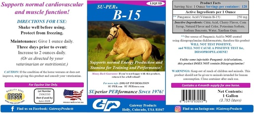 [BRSROAQKCUCWO3QV] SU-PER B-15 Vitamin Supplement for Horses - Equine Vitamin B-15 Liquid for Performance Support - Supports Normal Cardiovascular Immune & Muscle Function - 1 Gallon + Pump, 4 Month Supply