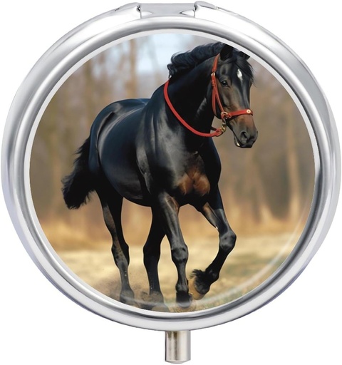 [BRSRAYANOIDREEQV] Pill Box 3 Reqment Round Pill Organizer Kiçik Pill Case for Travel Horse on Lawn Daily Metal Pill Konteyner Portativ Tibbi Vitaminlər üçün Organizer