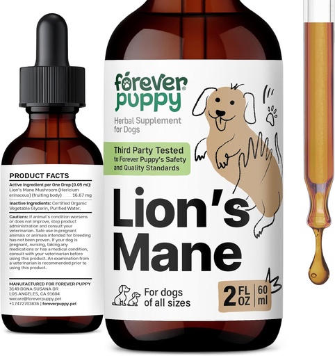 [BRSRAYAFCQBGAGTF] Forever Puppy Lions Mane Mushroom Suplemento para cans - Brain & Focus Support - liquid Lion's Mane Mushroom para cans - vitaminas caninas e suplementos - Sugar & Alcohol-Free Drops - 2 fl oz