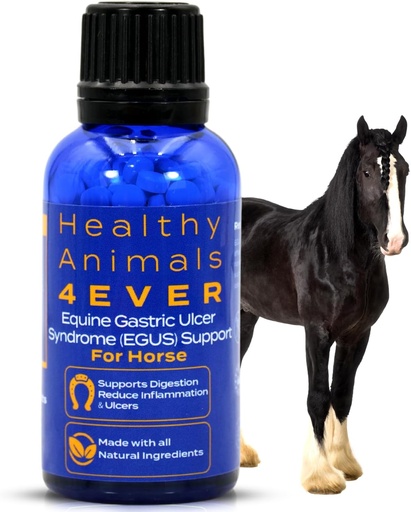 [BRSROZA7C4HBQG3K] HA4E - Horse Respiratory Issues Support - Helps Prevent Heaves, Allergies & Infections – Highly Effective, Natural Homeopathic Supplement - 300 Tablets