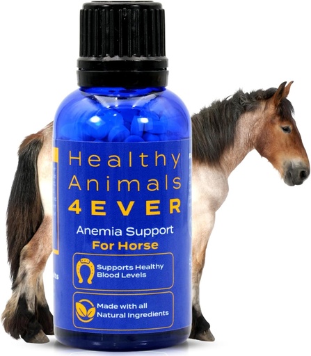 [BRSROZA7BMCRS3TX] HA4E - Horse Anemia Support - Helps Prevent Diseases & Parasites - Highly Effective, Natural Homeopathic Supplement - 300 Tablets