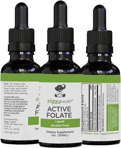 [BRSW2GQ3A4PQOYL4] Folate Pure Liquid Extract Supplement - L-Methylfolate absortzio hobea, Garuneko osasuna, funtzio zelularra hobetzea, sistema immunologikoa laguntzea, B ur disolbagarria, 1oz - Ziggy Health-k