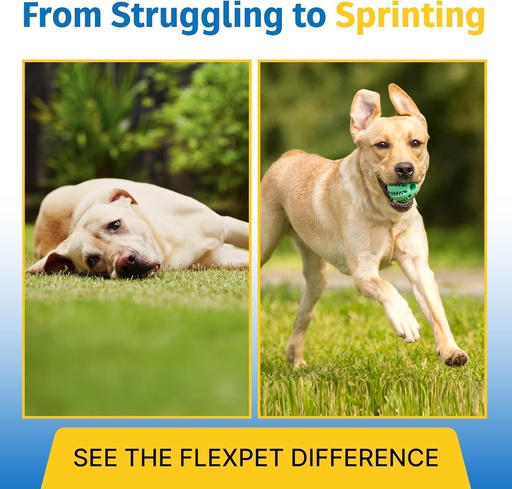 [BRSWIYYBDEFGMAYV] Cetyl Myristoleate、Glucosamine、Collaagen、MSMの犬と猫のためのヒップ&ジョイントサプリメント - モビリティ、シニアペット、小型&大型繁殖のための高度な共同サポート - 180錠(Pork Liver)