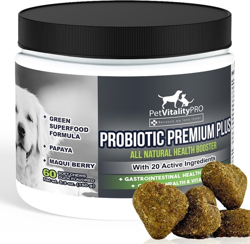 [BRSWKFL4AAFWA3I7] Probiotics for Dogs with Natural Digestive Enzymes ● 4 Bill CFUs/2 Soft Chews ● Dog Diarrhea Upset Stomach Yeast Gas Bad Breath Immunity Allergies Skin Itching Hot Spots ● 60 Count