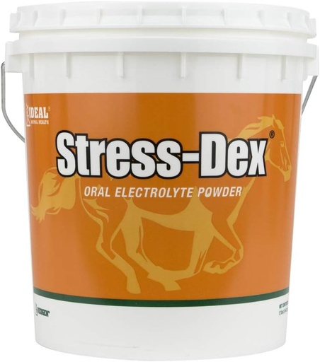 [BRSWI2Y5BUGW22TC] Stress-Dex 12lb, Orange