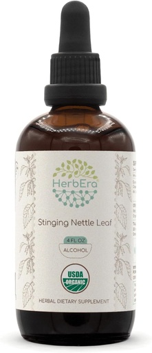 [BRSROHT6ARYRYFDH] HerbEra Stinging Nettle Leaf A120 USDA Organic Tincture | Alcohol Extract, High-Potency Herbal Drops | Certified Organic Stinging Nettle (Urtica Dioica) Dried Leaf (4 oz)