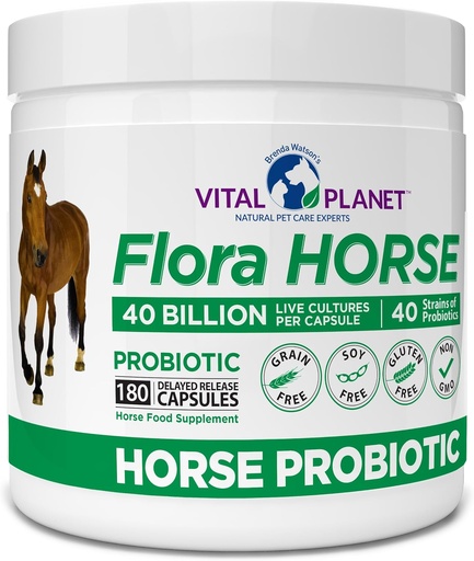 [BRSRAZQ3AEHAAFLV] Vital Planet - Flora Horse Probiotic, High Potency Equine Probiotics with Prebiotics, 40 Billion Live CFU from Multiple Strains, Digestive and Immune Support, 180 Delayed Release Capsules (180 Days)
