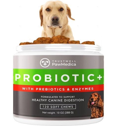 [BRSWYAY5C4BQIET3] PawMedica Dog Probiotics Chews with Digestive Enzymes, 120 Count | Prebiotic & Probiotic Blend That Helps Support Gut Health, Made in USA