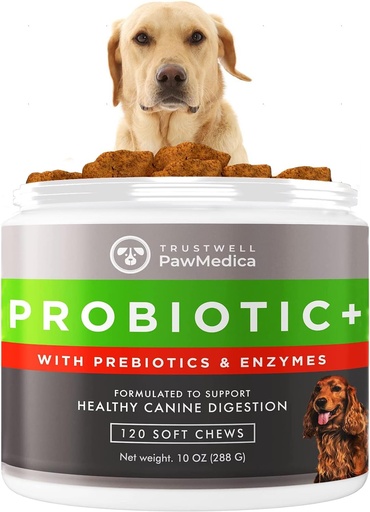 [BRSWYAY5C4BQIET3] PawMedica Dog Probiotics and Digestive Enzymes, Probiotics for Dogs Made in USA, Pet Probiotic Chews for Dogs, Prebiotics & Probiotic Dog Digestive Support, Probiotic Treats - 120 Dog Probiotic Chews
