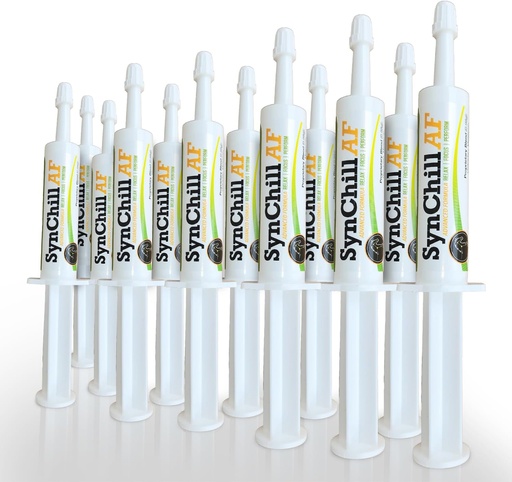 [BRSRAGILOEFWYCA4] SynChill AF Calming Gel for nevrologiske hester - enkelt servering - Avansert Formel med L-Theanine, økt styrke, 100% naturlig kosttilskudd, disposisjon og tillitsstøtte for hester - 12 pakke