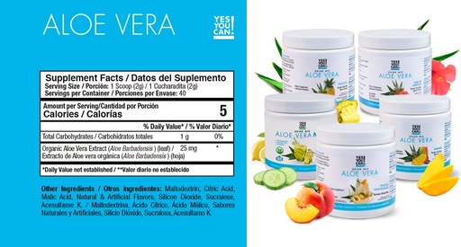 [BRSW2AL3O5YGY3A2] Yes You Can! Detox Plus Kit (Meal Replacement Dulce de Leche, Aloe Vera Pineapple) - Complete Meal Replacement Powder, High Energy Shake Booster, Aloe Vera Detox Supplement, Health Transformation