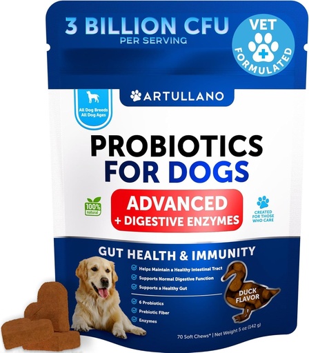 [BRSROHA2BF7Q2HTF] Probiotiques pour chiens - Soutien Santé Gut, peau démangeaison, allergies, immunité, équilibre des levures - Probiotiques pour chiens et enzymes digestives avec prébiotiques - Réduire la diarrhée, gaz - 70 Chews probiotiques pour chiens