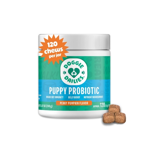 [BRSW2AYYCIBRSGTP] Doggie Dailies Puppy Probiotic Soft Chews, Digestive, Pumpkin, 120 Count | Probiotics & Digestive Enzymes, Supports Digestive Health, Immune Function & Puppy Development, Daily Soft Chews