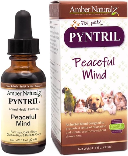 [BRSWGZ3YBF7BSALJ] AMBER NATURALZ Pyntril Peaceful Mind Herbal Supplement for Dogs, Cats, Birds, Guinea Pigs, and Rabbits | Herbal Pet Supplement for Relaxation | 1 Fluid Ounce Glass Bottle | Manufactured in The USA